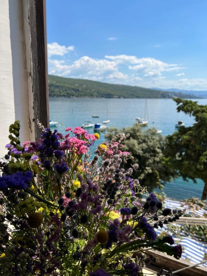 Apartment Mirna - What You See Is What You Get Opatija Exteriér fotografie