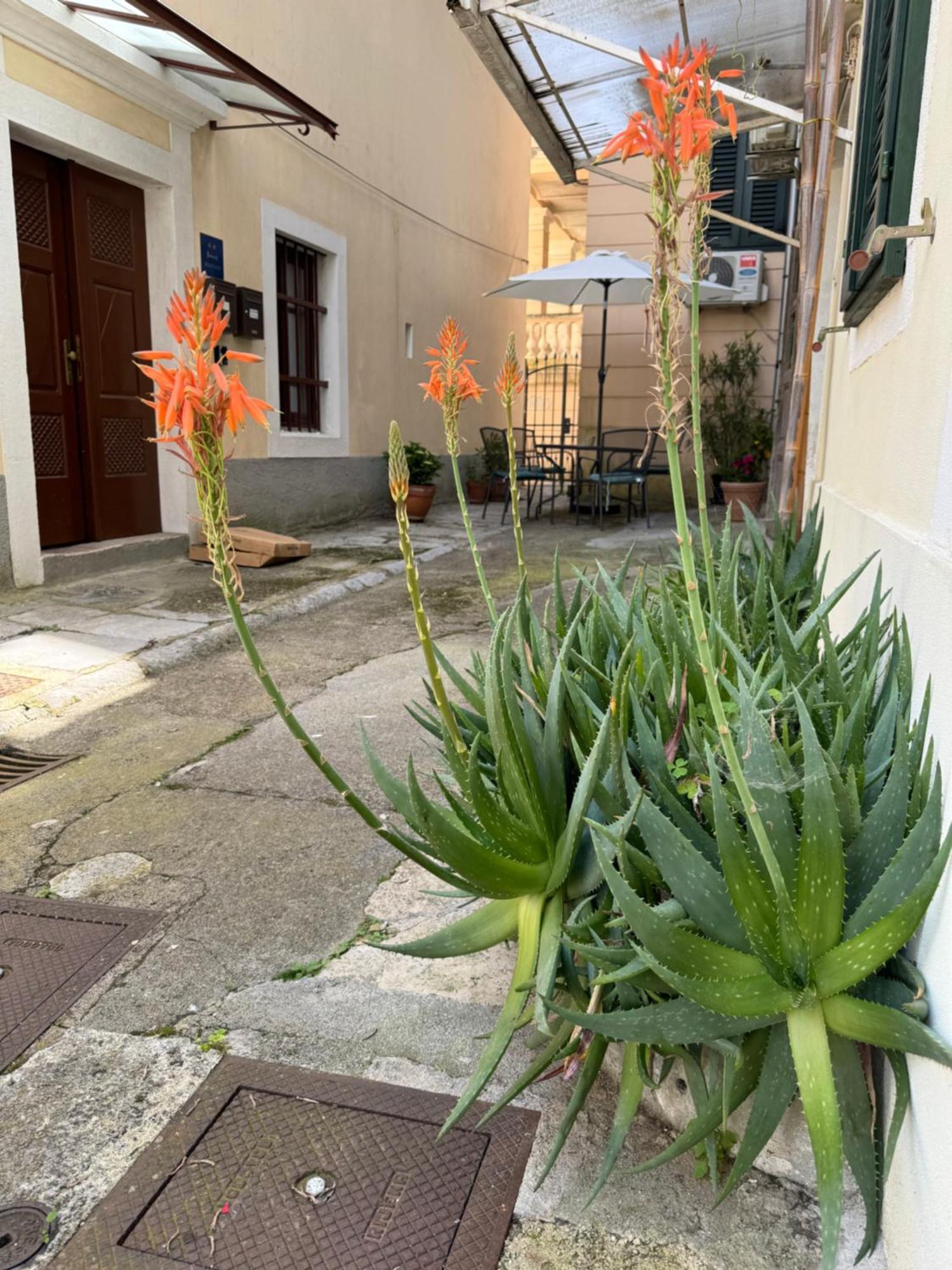 Apartment Mirna - What You See Is What You Get Opatija Exteriér fotografie