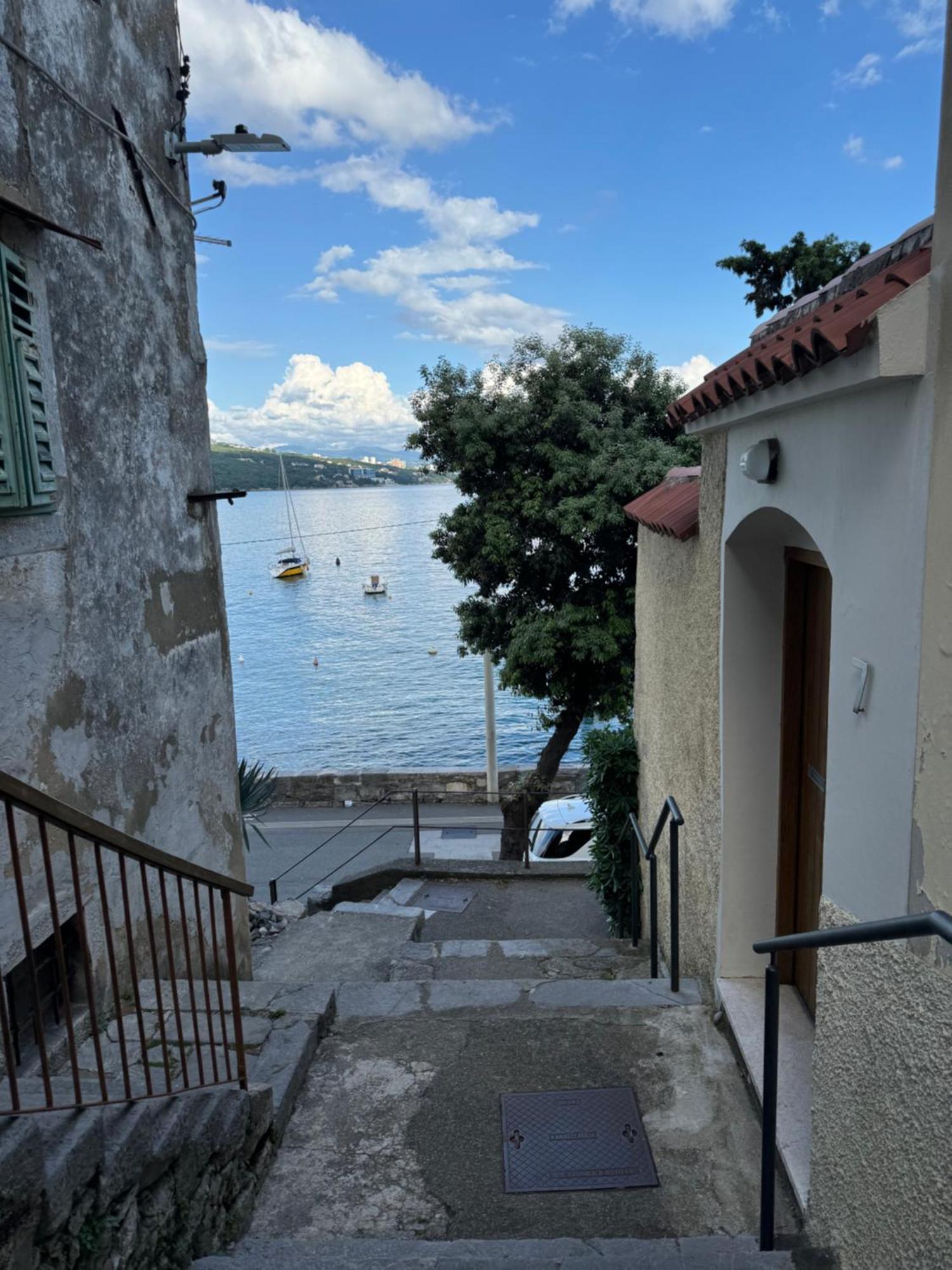 Apartment Mirna - What You See Is What You Get Opatija Exteriér fotografie