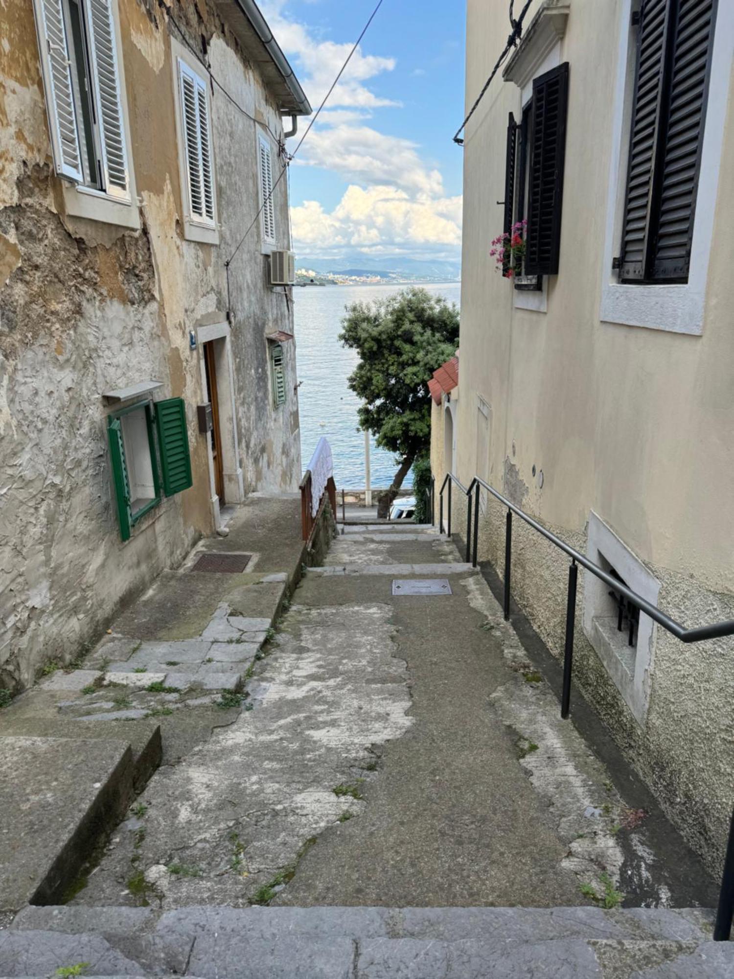 Apartment Mirna - What You See Is What You Get Opatija Exteriér fotografie